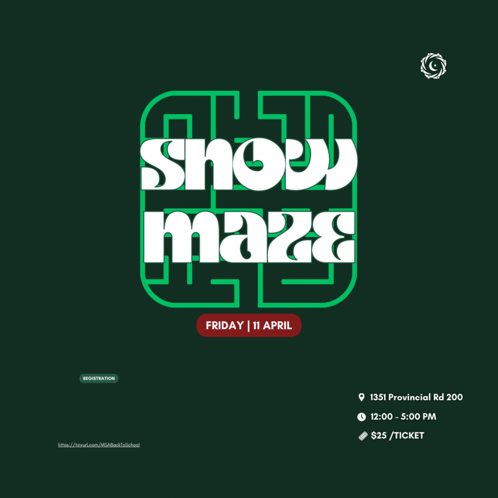 Snow Maze